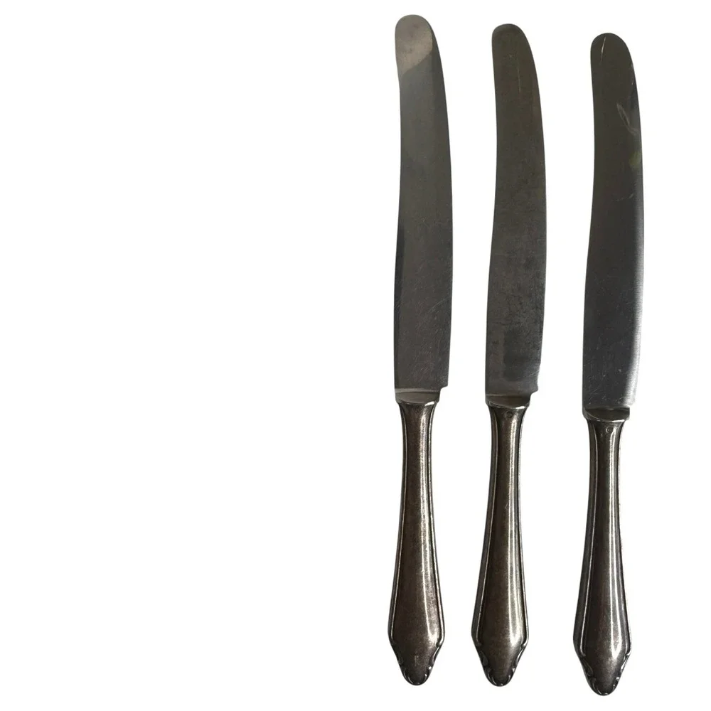 12 Walter Breuker W&B Rostfrei Dinner Knife Set Silverplate Vintage Germany